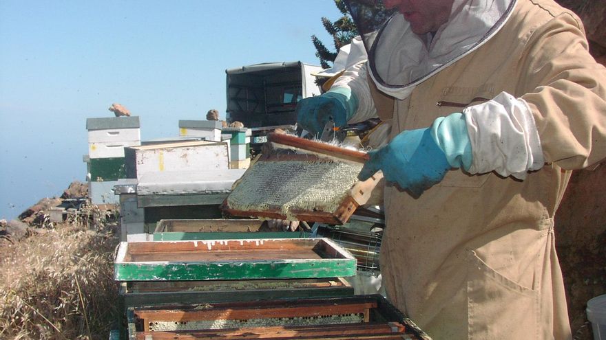 No estará permitida la realización de chozas, casetas y habitáculos asociados a la realización del aprovechamiento, y se autoriza la manipulación nocturna a efectos de instalación y levantamiento de las colmenas.
