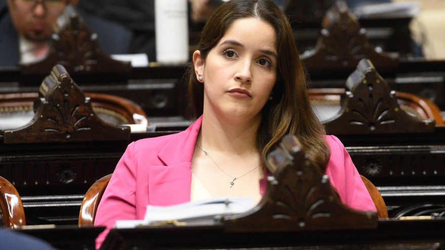 Una de las diputadas que visitó a Astiz aseguró que tenían el “ok de Patricia Bullrich”