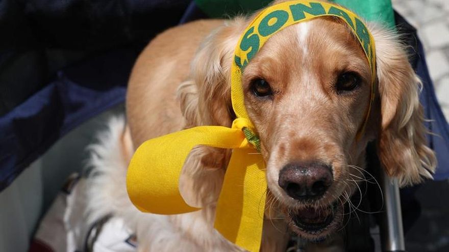 Miles de brasileños rechazan en las calles al PT y aclaman a Bolsonaro