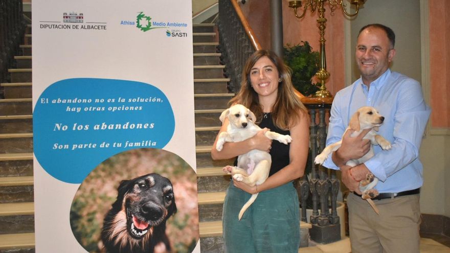 La media de animales abandonados en la provincia de Albacete cae a los 15 al mes en 2023