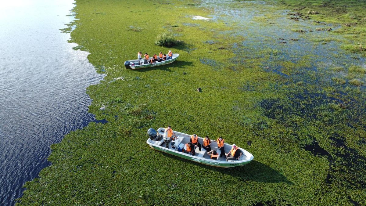 Vacaciones de invierno: Corrientes apuesta a la naturaleza, la pesca, la fe y la cultura para consolidarse entre los destinos más elegidos del país