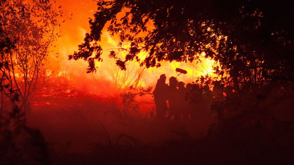 Fotograma de la película 'O que arde', dirigida por Oliver Laxe en 2019