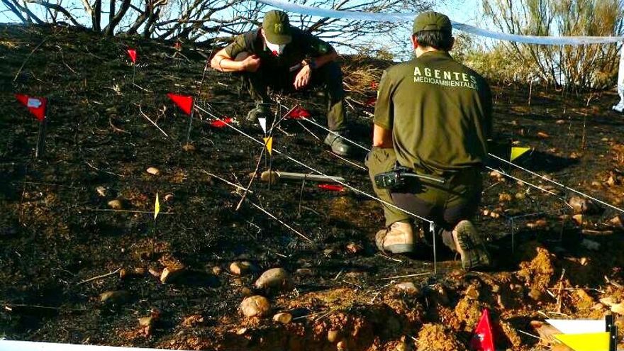 Alfredo Poveda, agente medioambiental: "Falta más contundencia desde la política con los incendios forestales"