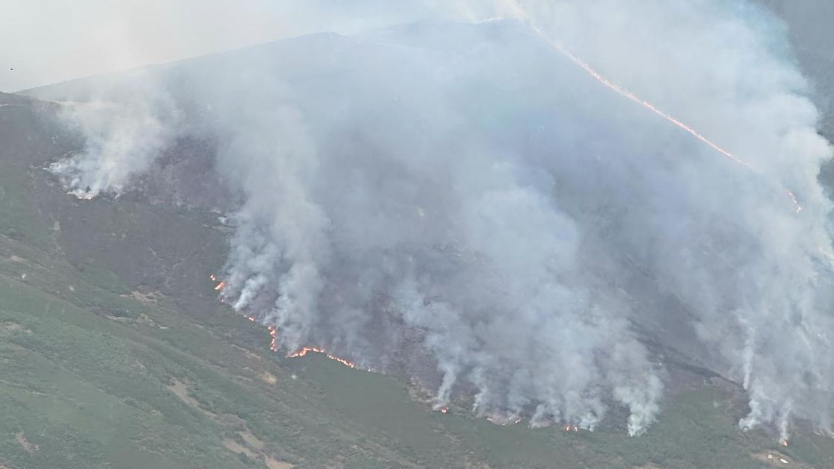 Lengua de llamas en el incendio de los montes de Pendilla de Arbas.