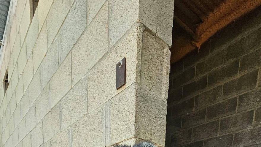 La triste historia de Odin, el perro “peluche” que todos querían y que acabó de nuevo en el refugio