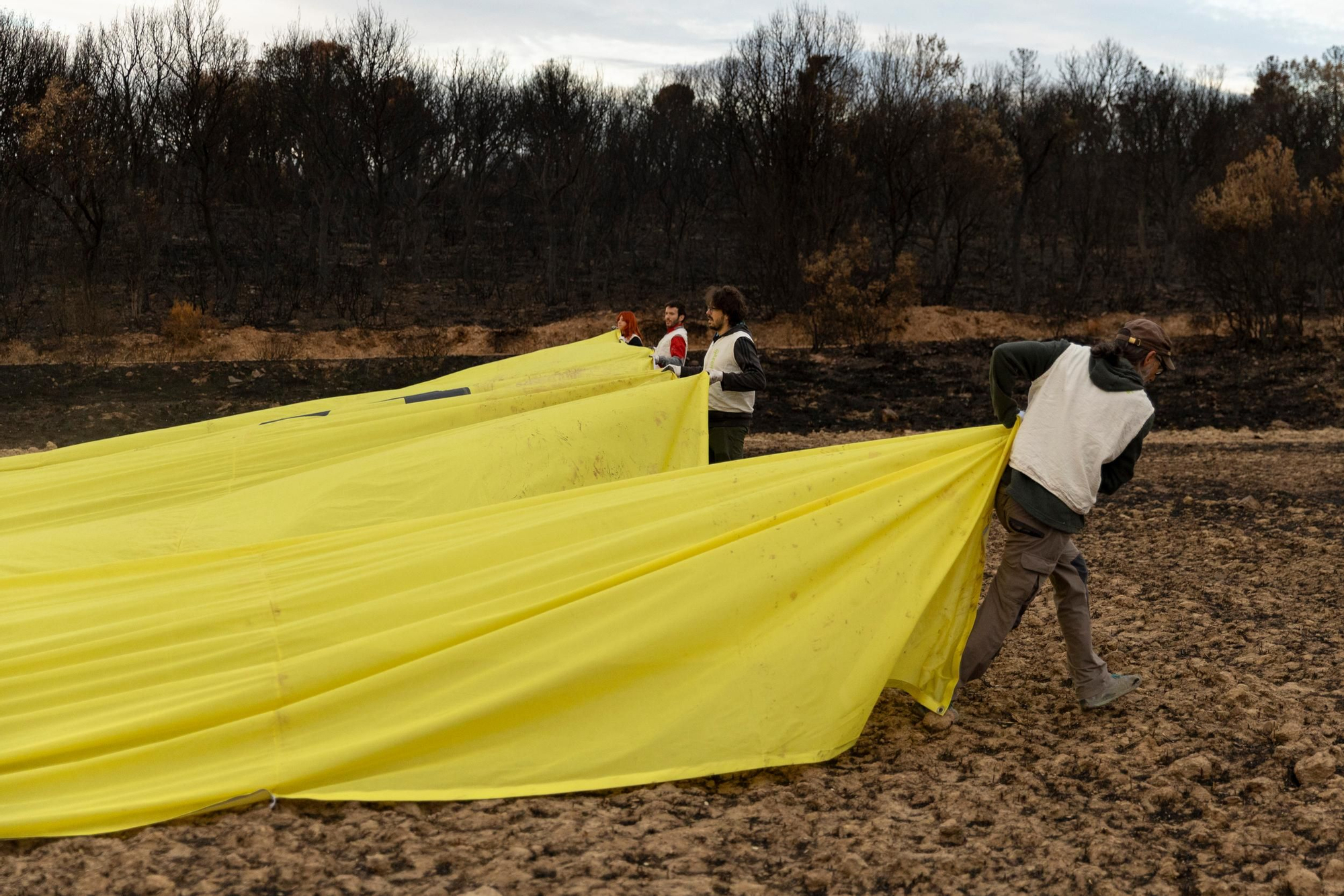La devastación de los incendios del sur de León que impulsa la campaña internacional de Greenpeace