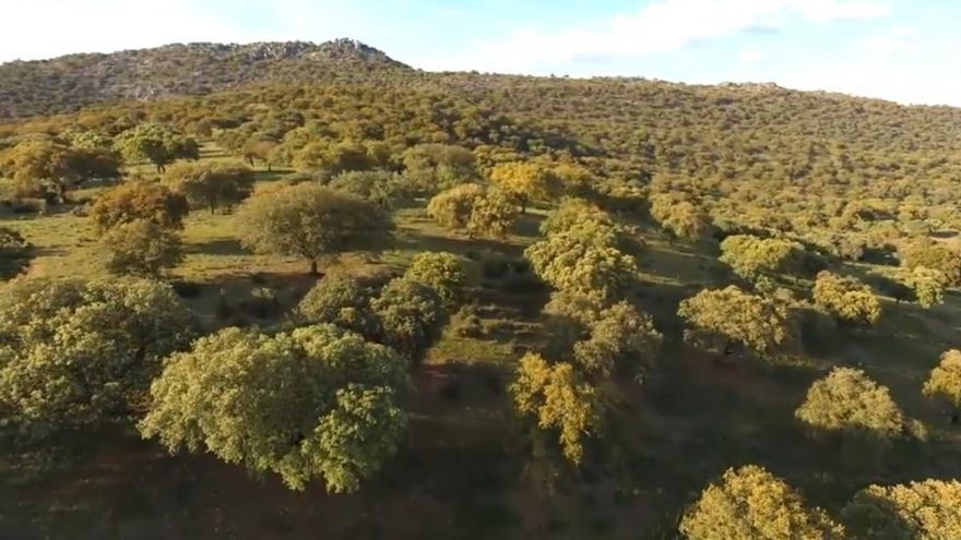 La Sierra de San Pedro, 115.000 hectáreas de paraíso para la flora y el reino animal