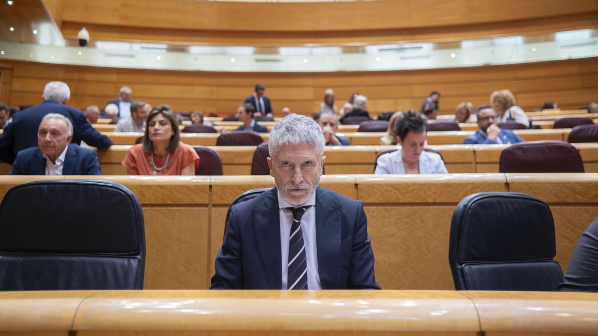 El ministro del Interior, Fernando Grande-Marlaska, durante una sesión de control al Gobierno en el Senado