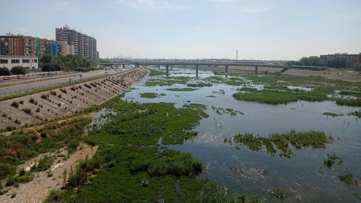 Iván Portugués, sobre la Solución Sur: "El nuevo cauce del Túria ha funcionado como un obstáculo para los flujos desbordados"