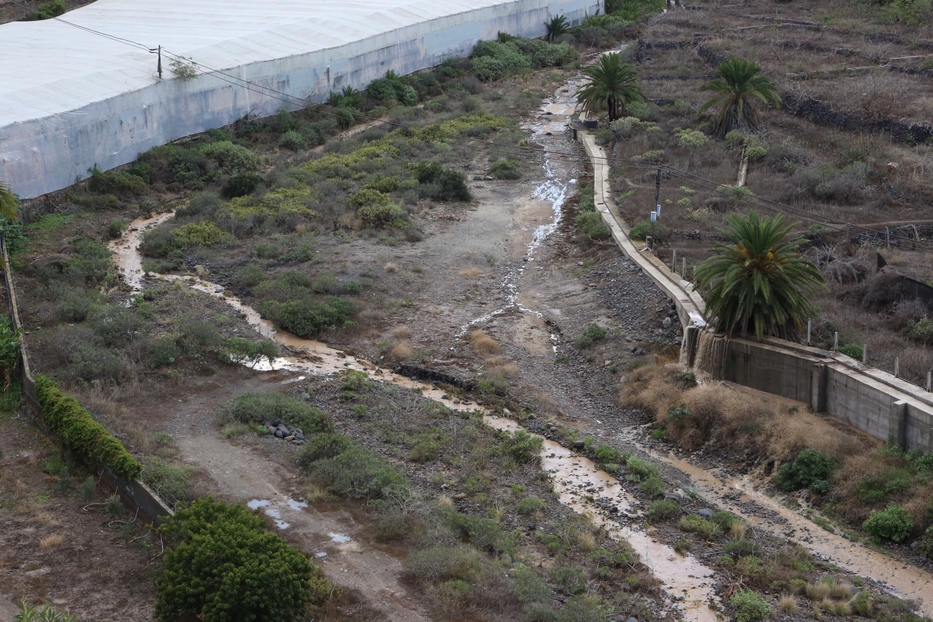 Barranco del Guiniguada (ALEJANDRO RAMOS)