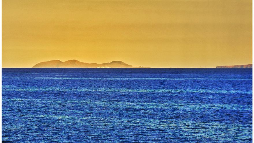 El sueño de la ballena