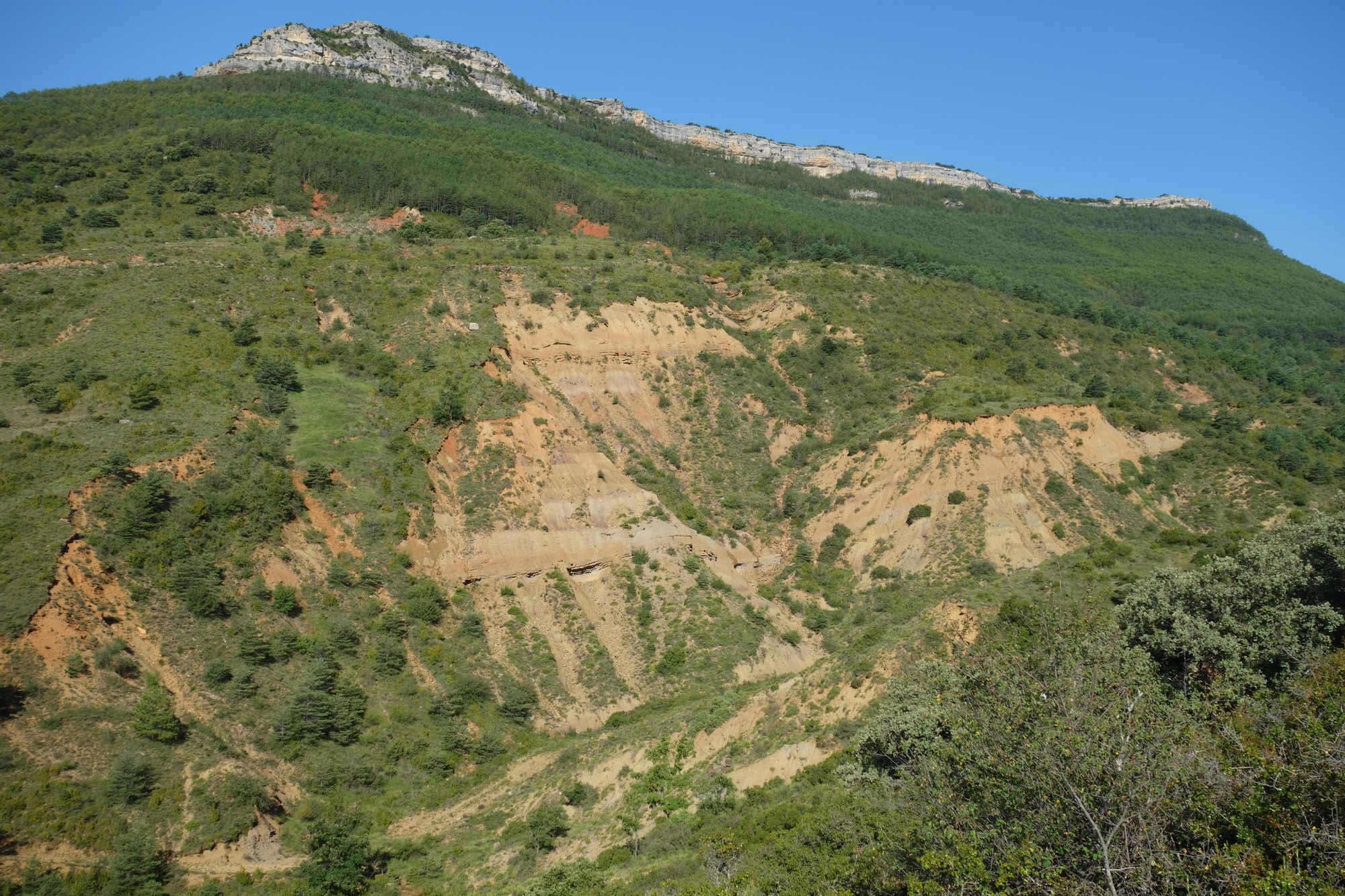 Afloramientos del Cretácico terminal en Arén (Ribagorza).