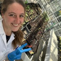 Nazaret Romero, foto perfil