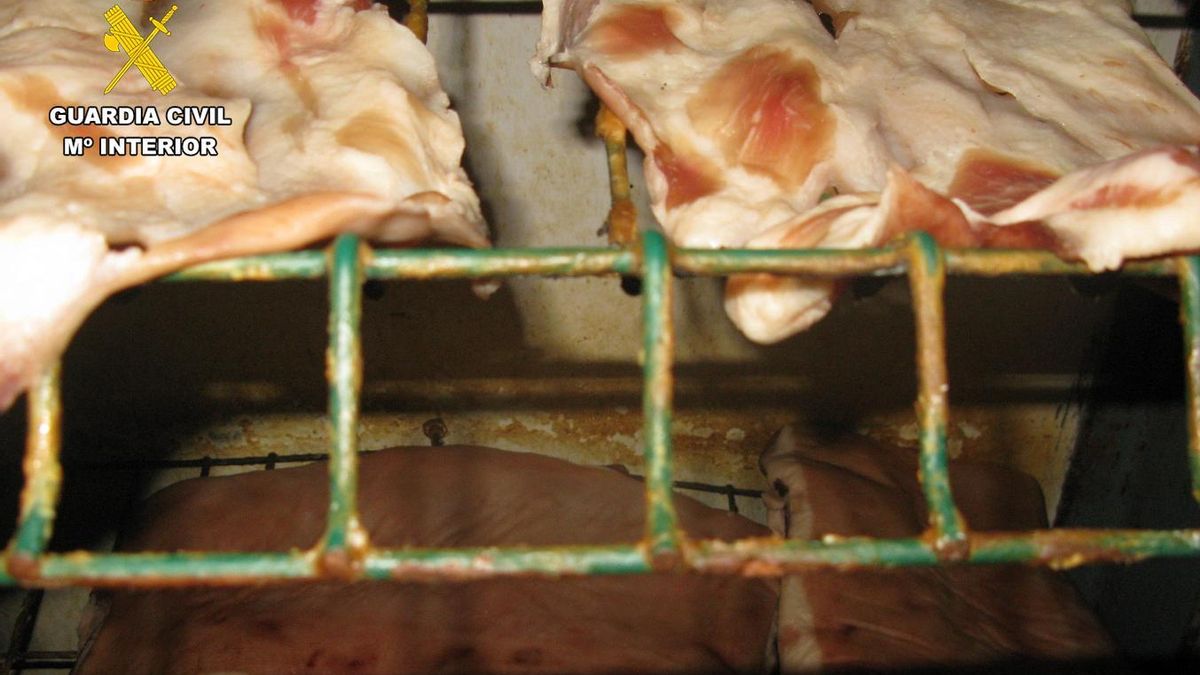 No reunían las condiciones de salubridad. COMANDANCIA GUARDIA CIVIL DE ALBACETE