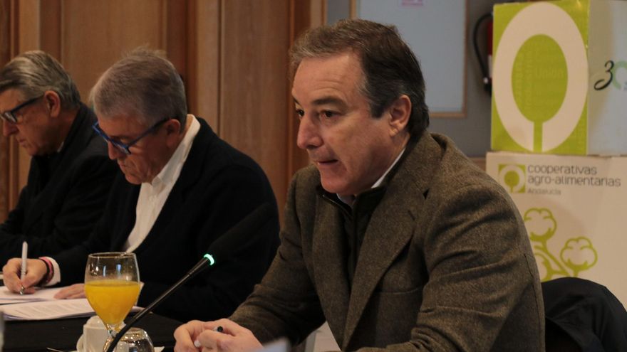 Jaume Martínez-Conradi, director general de Cooperativas Agro-alimentarias de Andalucía, durante la atención a medios.