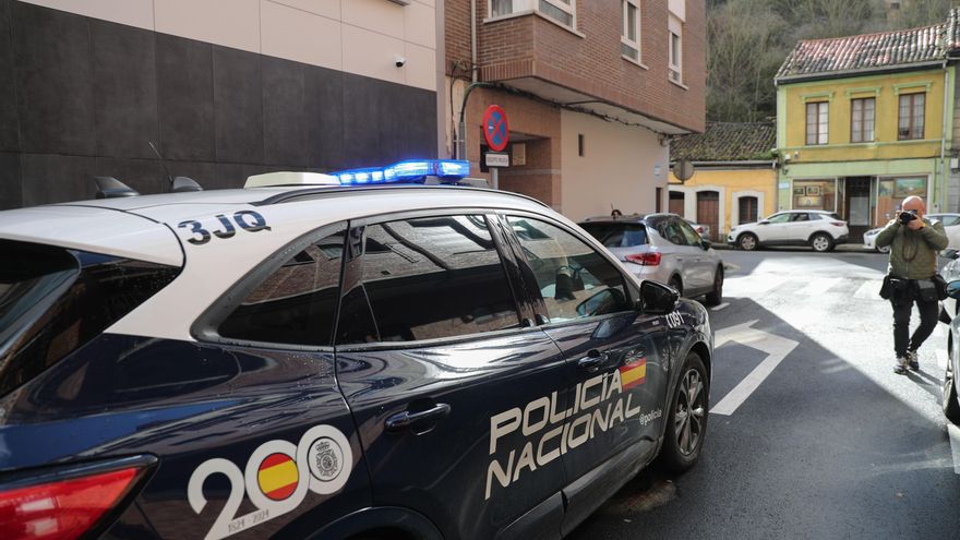 El juez decreta prisión para la detenida por el atropello mortal en Fuengirola (Málaga)
