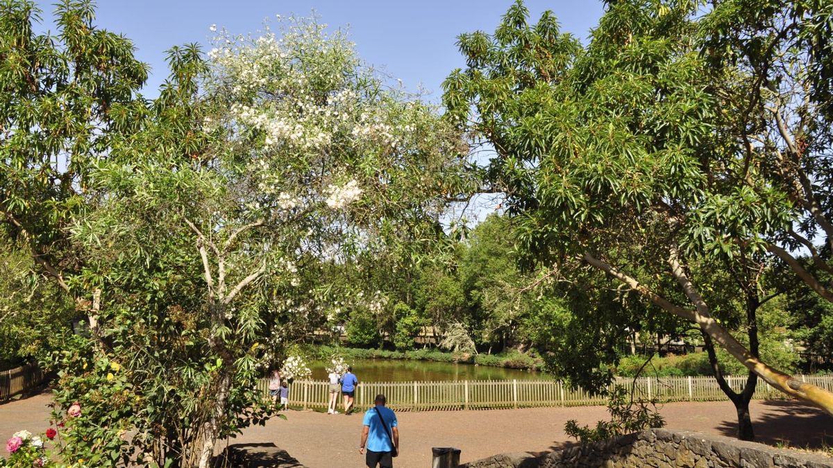 Parque recreativo de La Laguna de Barlovento.