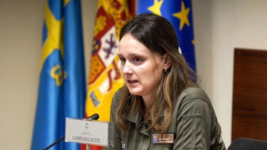 Agentes del Medio Natural abren las comparecencias para investigar el accidente mortal en la mina de Zarréu