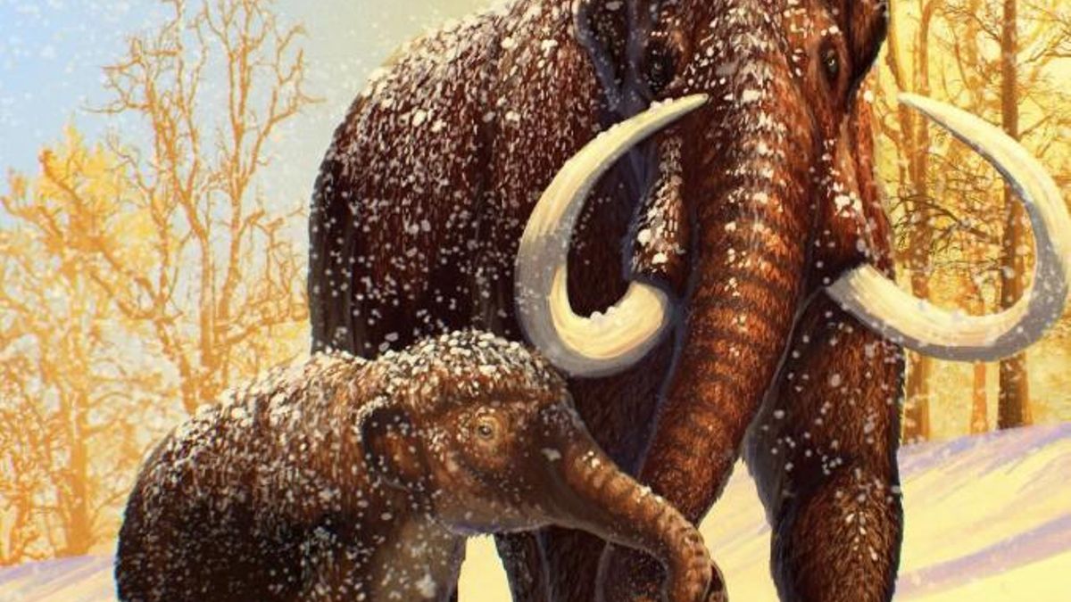 Los mamuts pudieron desaparecer por algo tan simple como demasiado polen alterando su olfato y su reproducción