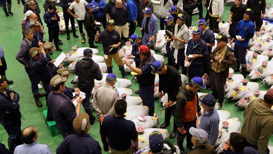 La nueva lonja de pescado de Tokio se estrena dos días antes de abrir al público