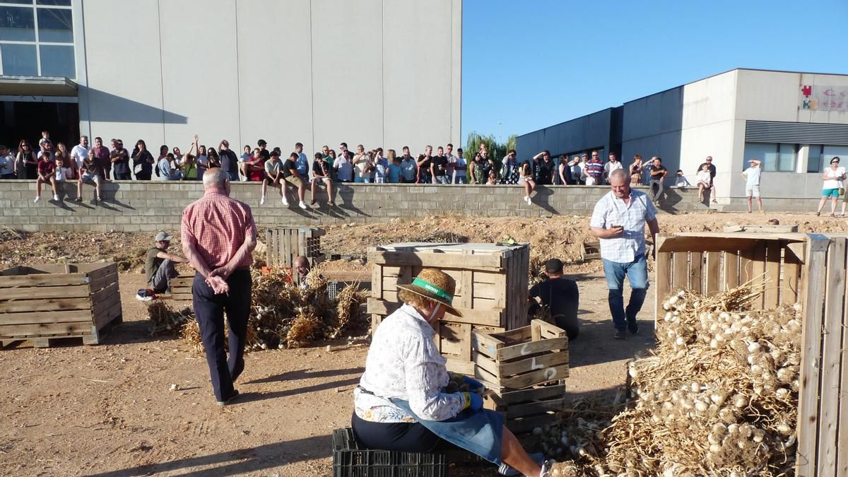 Las Pedroñeras ultima la programación para la LII Feria Internacional del Ajo que se celebrará del 24 al 26 de julio
