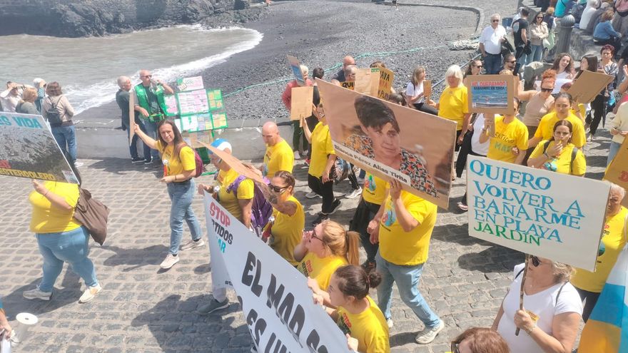 PSOE Outraged Over “Neglect Amid Tenerife’s Severe Environmental Crisis” at Garden Beach