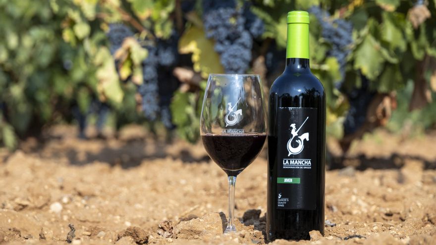 La UAH reivindica desde Bolaños de Calatrava la cultura del vino con un curso sobre su fisiología