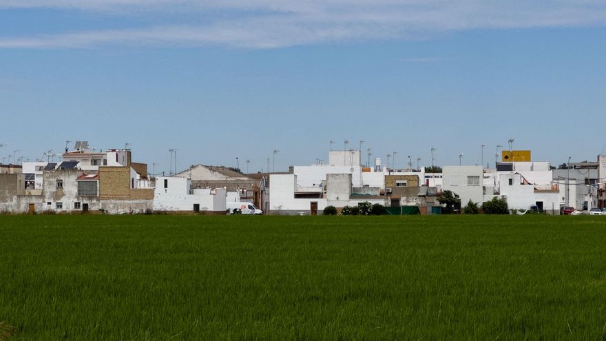 Salud Extremadura notificó dos casos de virus del Nilo