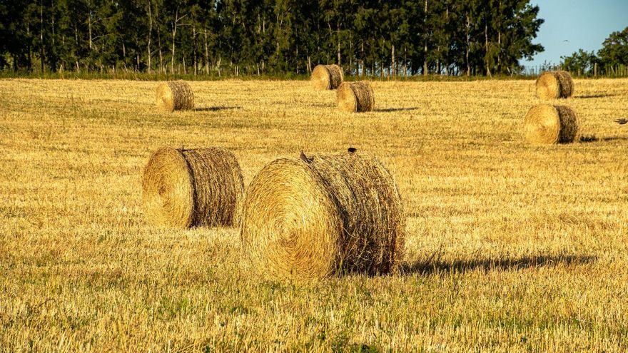 Muere un trabajador en una finca de Calera y Chozas tras ser aplastado por una paca de heno