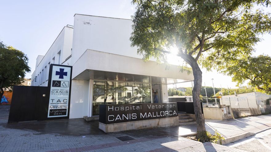 Hospital Veterinari Canis, a Palma, un dels centres adquirits pel grup IVC Evidensia