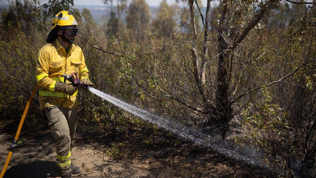 Efectivos del Infoca combaten un incendio forestal. Imagen de archivo.