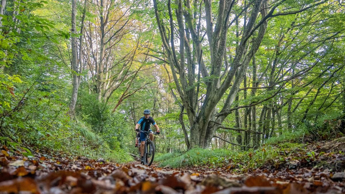 Álava, naturaleza e historia sobre la bici: itinerarios verdes y sendas casi infinitas te esperan