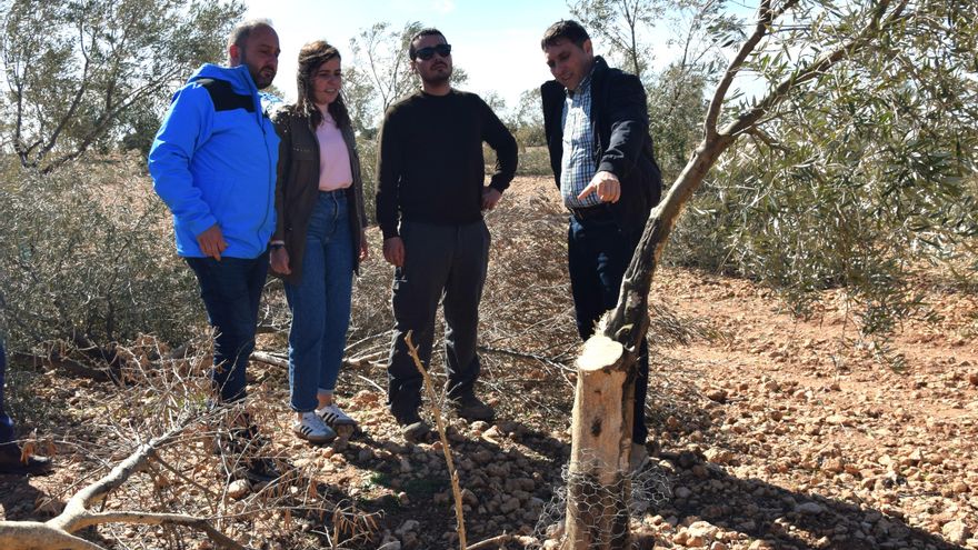 La Diputación de Cuenca convoca ayudas para el control de las poblaciones de conejos con un anticipo del 75%
