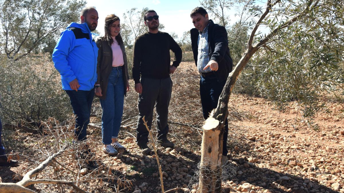 La Diputación de Cuenca convoca ayudas para el control de las poblaciones de conejo de monte con un anticipo del 75%