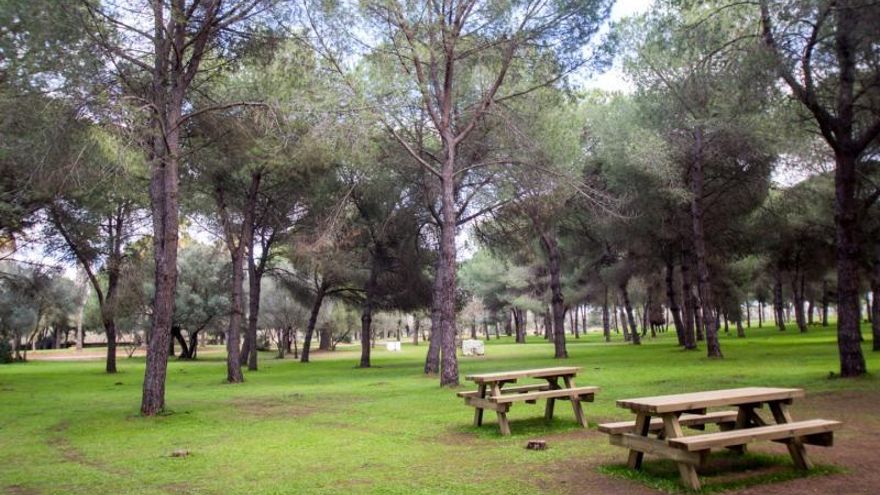 Tres dramas familiares en un tesoro natural a las puertas de Sevilla: "Nos deben nueve nóminas, estamos al límite"