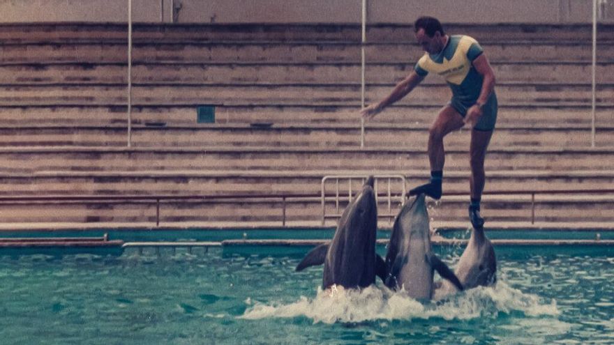 La historia detrás del linchamiento que acabó con la vida del ‘rey de los delfines’