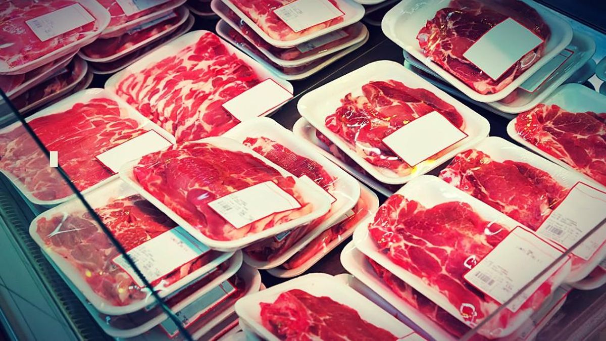 Descubren nueva especie de bacteria, Acinetobacter legionensis, presente en carne de supermercados de León e inocua