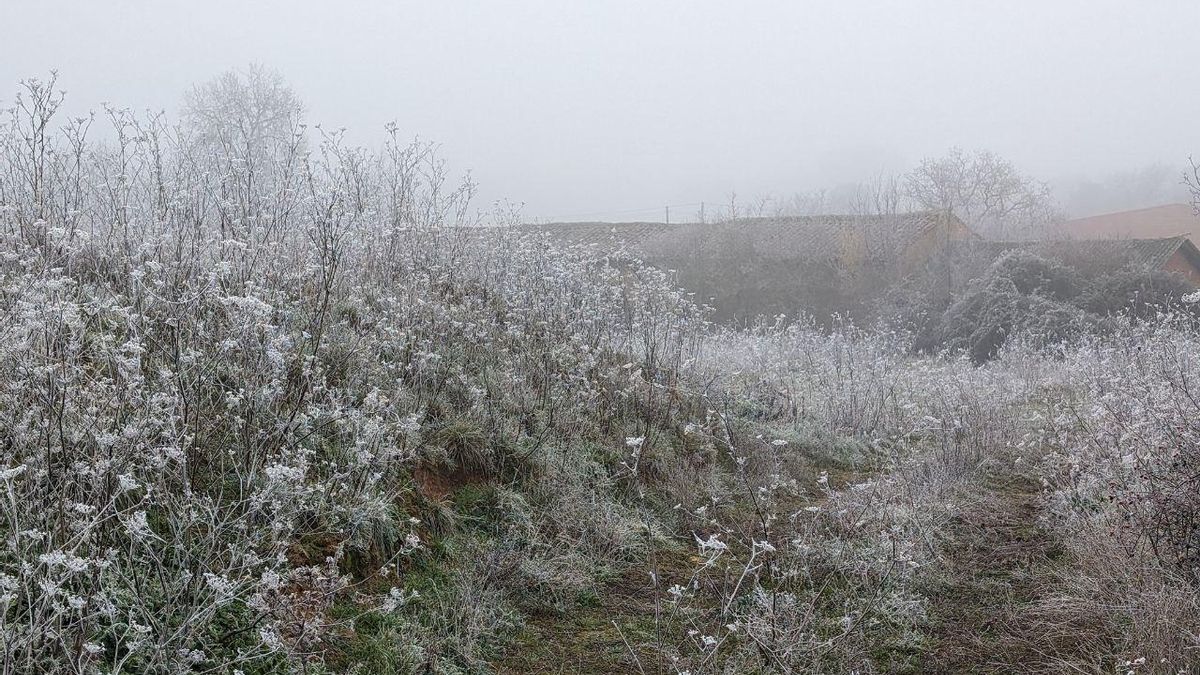 Cencellada en San Adrián del Valle, en el Páramo leonés