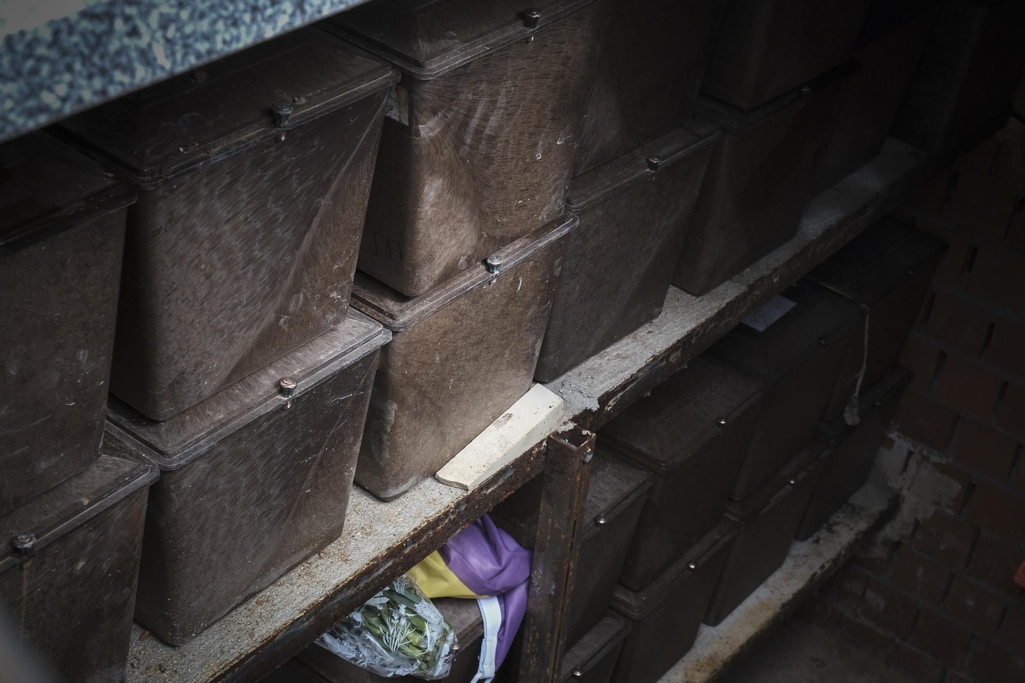 Foto: Nacho Izquierdo