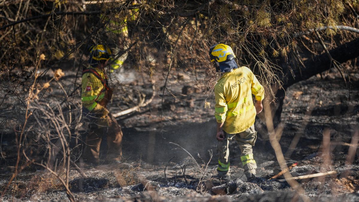 Efectivos del Infoca, en el tercer incendio registrado este verano en Cerro Muriano