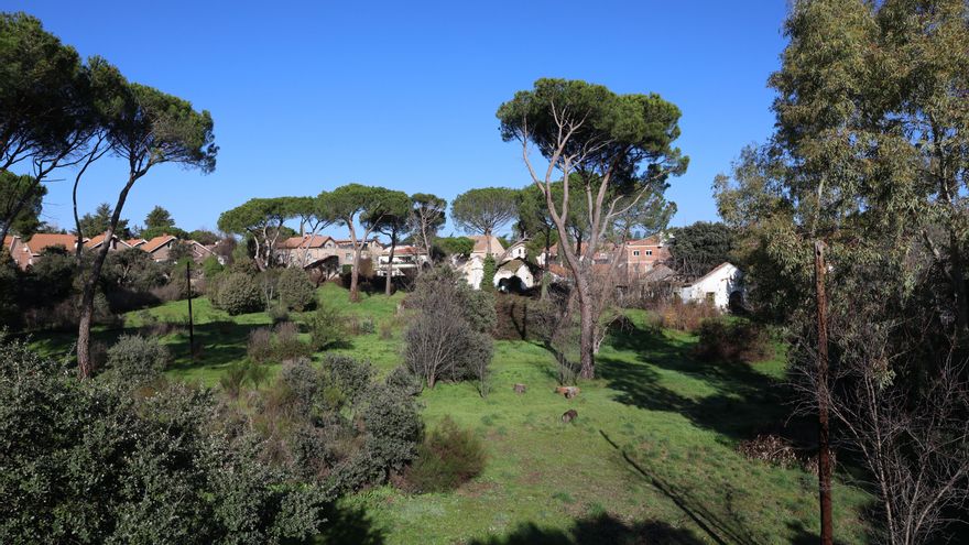 Parte de la parcela adquirida por la cooperativa en Torrelodones