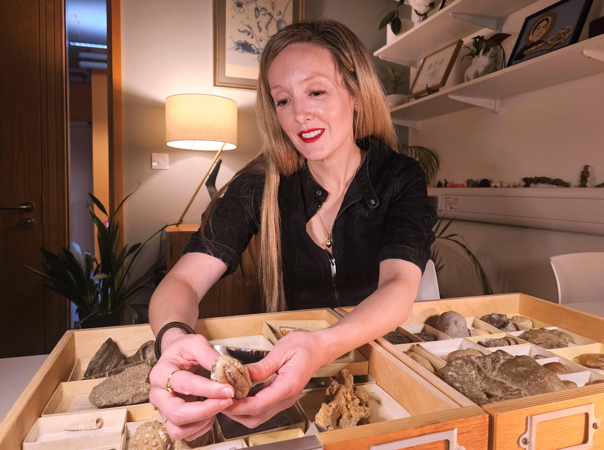 La investigadora Erin Saupe examina especímenes fósiles de invertebrados que vivieron en mares pasados.