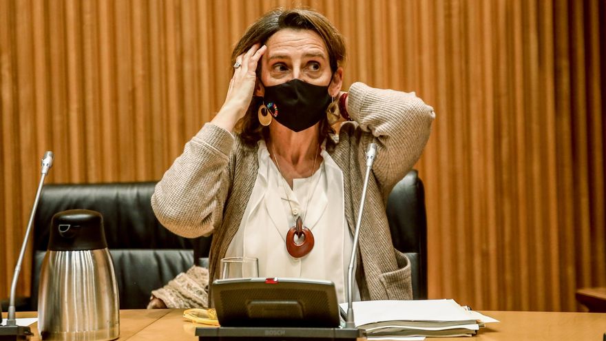 Teresa Ribera anuncia cambios en el bono social de la luz que disfrutan todas las familias numerosas sin distinguir su renta