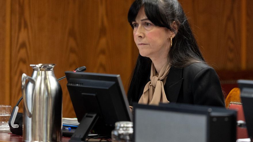 La presidenta de la SEPI defiende el fondo que rescató a Air Europa o Plus Ultra: "Salvó 62.000 empleos" con condiciones "muy exigentes"