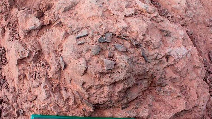 Dinosaurios en el castillo de Loarre: Huesca se sitúa en la vanguardia de la investigación paleontológica