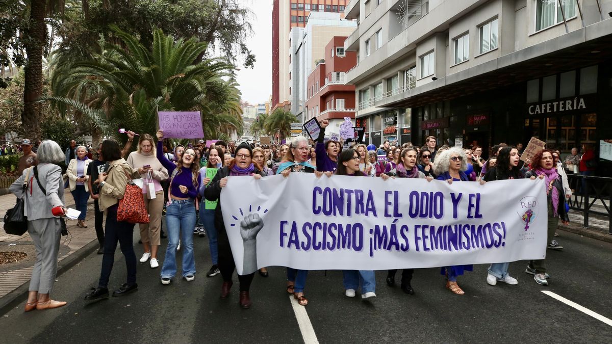 Manifestación del 8M en Gran Canaria. ALEJANDRO RAMOS