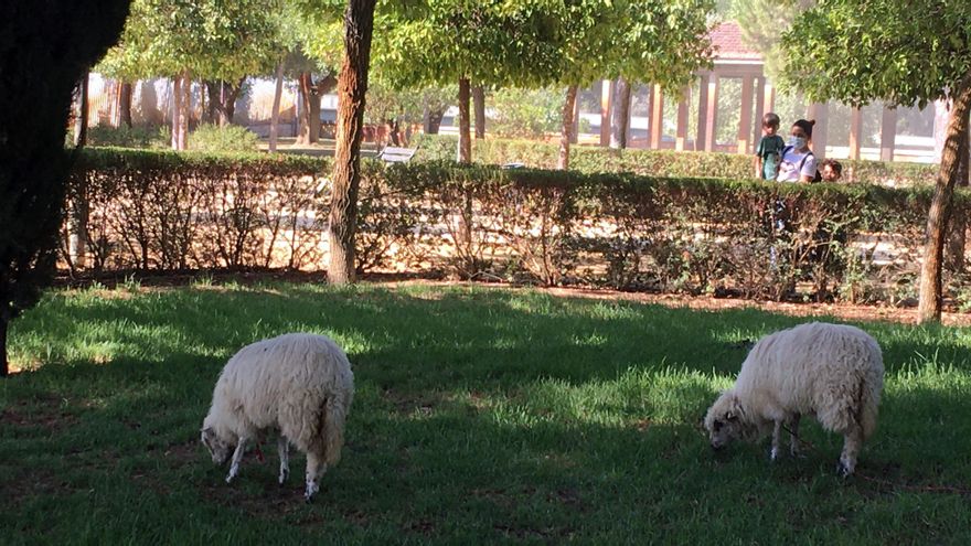 Una familia contempla a las biosegadoras en plena faena en el parque de San Jerónimo.