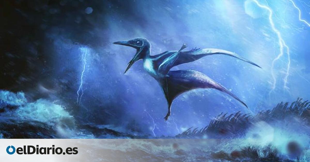 La violenta tormenta que acabó con dos crías de dinosaurio pero que revela un hallazgo aún mayor
