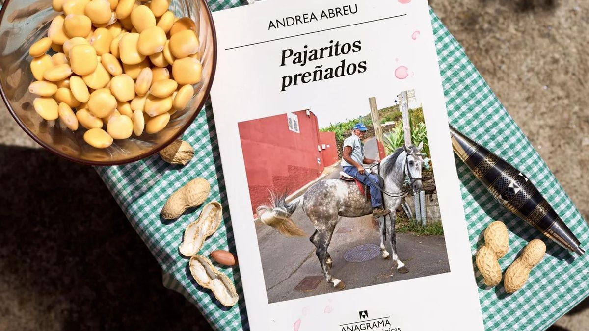Andrea Abreu regresa seis años después con ‘Pajaritos preñados’: una historia canaria sobre la precariedad y el deseo de ‘cambear’