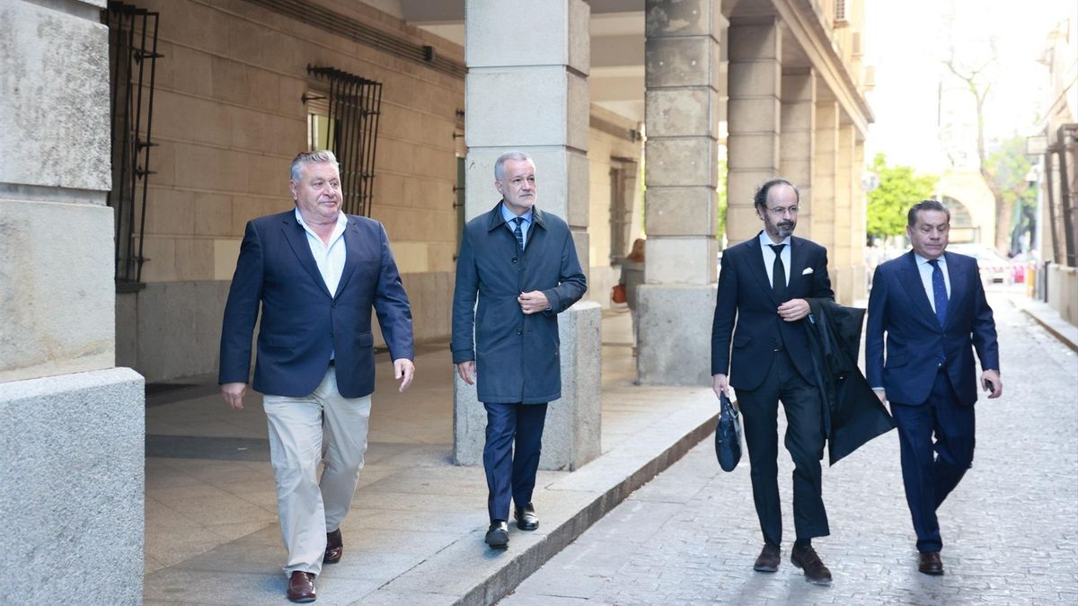 Visto para sentencia el juicio de la mina de Aznalcóllar: los funcionarios de la Junta hablan de "acusación infundada"